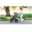 Carrinho De Bebê Uppababy Vista V3 Silver Frame Theo